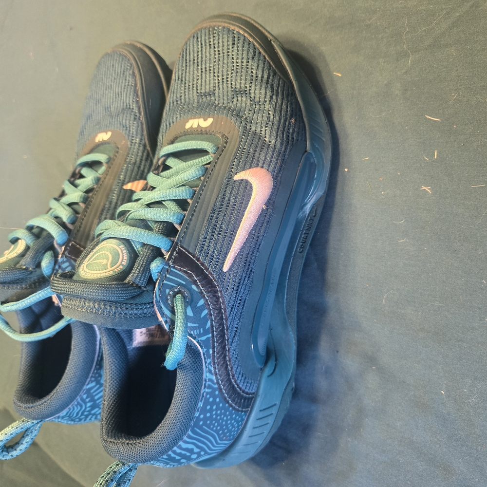 NikeCourt Air Zoom Teal Sneakers
